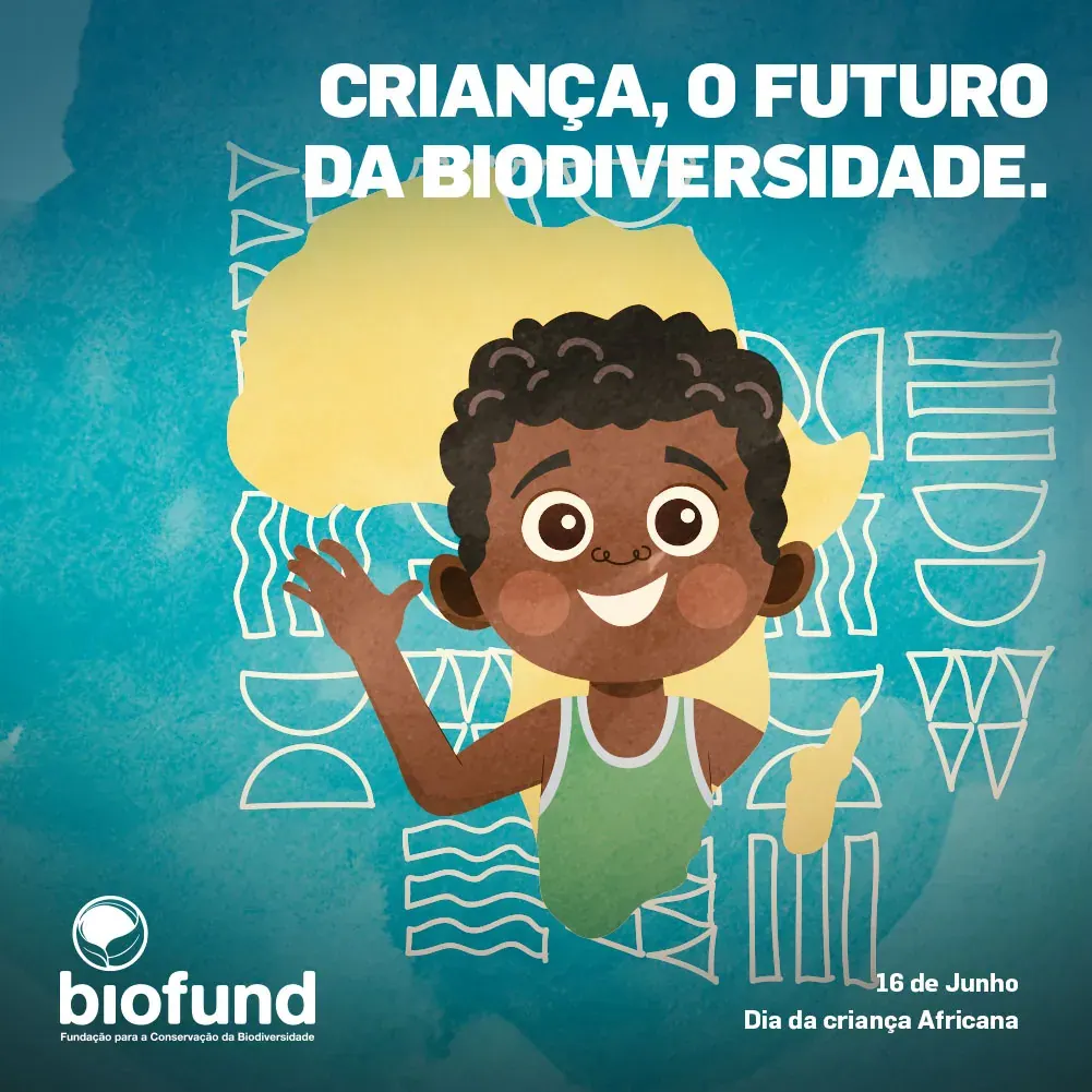 Trabalho de publicidade da Be Publicidade: BIOFUND 16 Junho