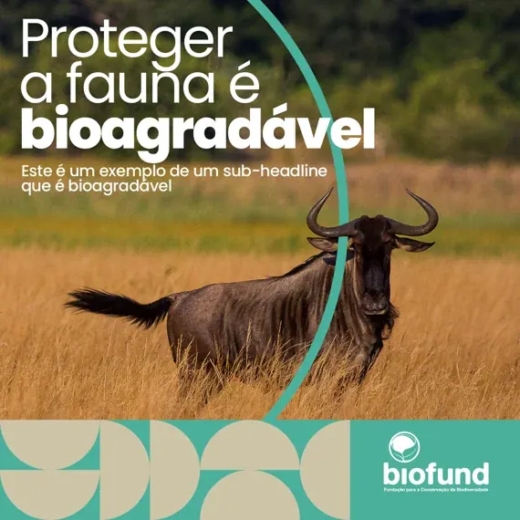 Biofund — Biodiversidade em Acção — peça 17 da campanha